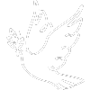 light logo